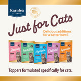 Beauty - Skin & Coat for Cats