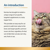 Beauty - Skin & Coat for Cats