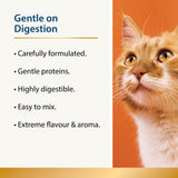 Beauty - Skin & Coat for Cats