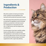 Beauty - Skin & Coat for Cats