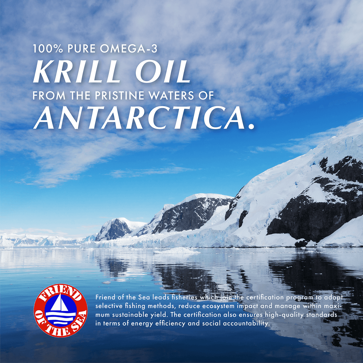 Wild Krill Oil