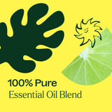 Lime in the Coconut Essential Oil Blend