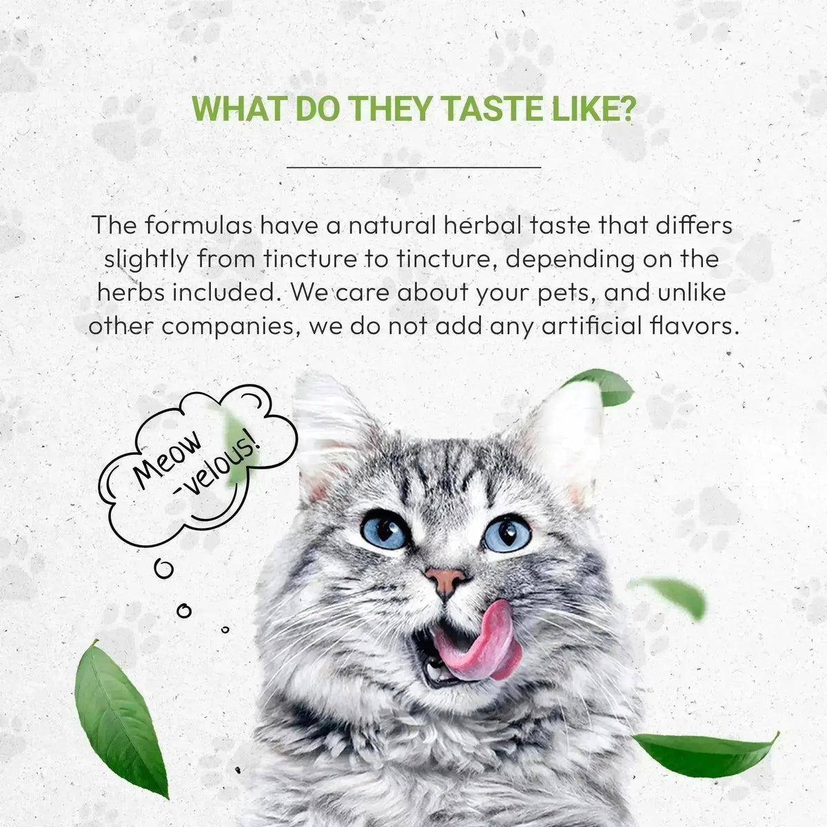 Lion's Urinary - Healthy Urinary System Support in Cats