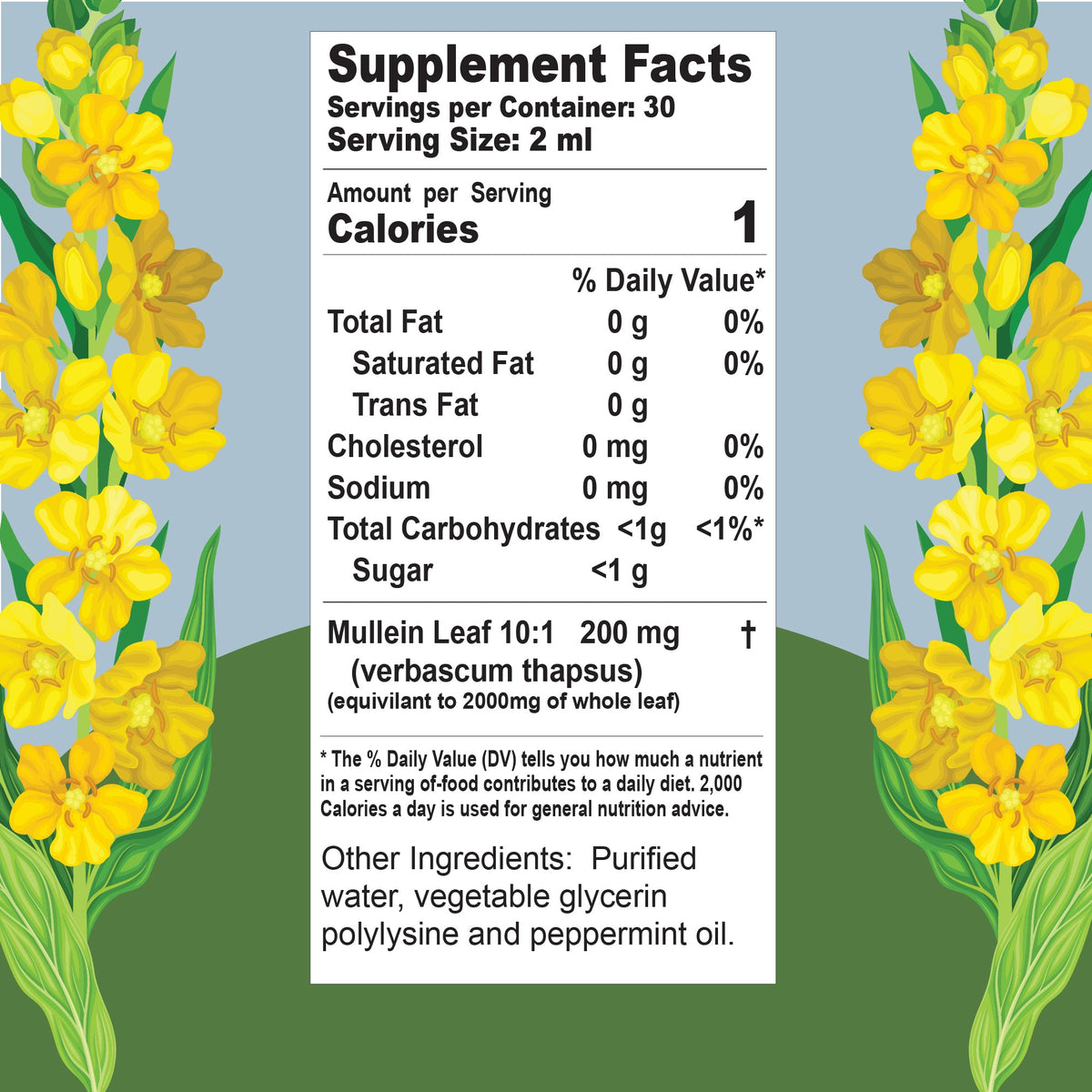 Buried Treasure Liquid Nutrients Mullein Drops with 200mg 10:1 Extract, Alcohol-Free Liquid Dietary Supplement