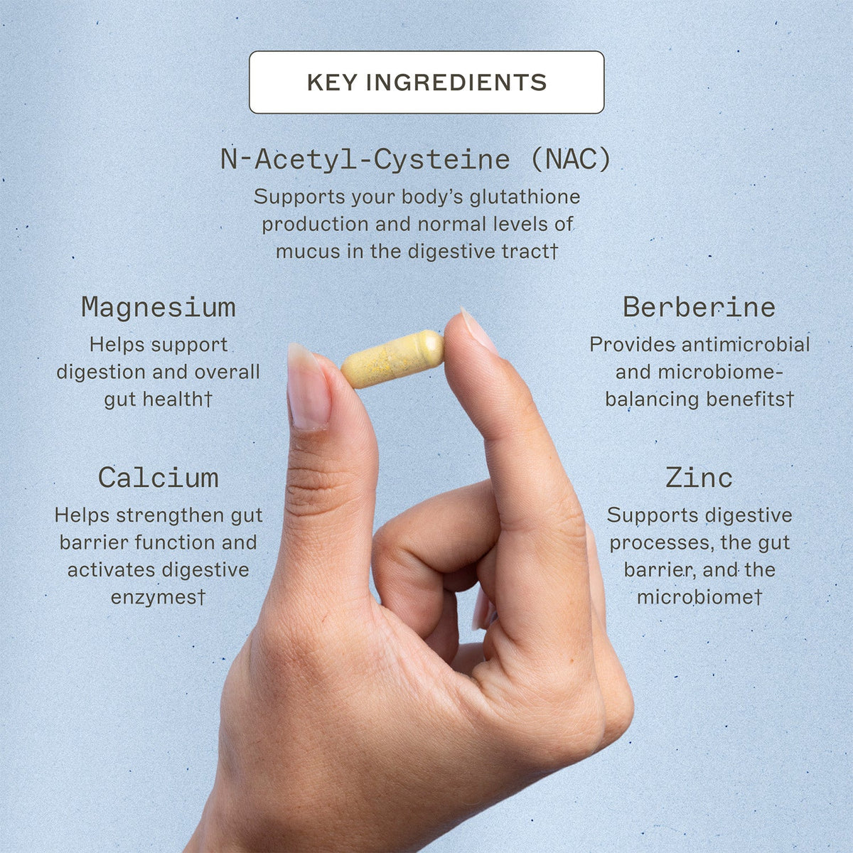Microb-Clear® - Microbiome Supplement