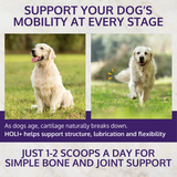 HOLI+ Collagen for Dogs