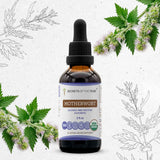 Motherwort Tincture