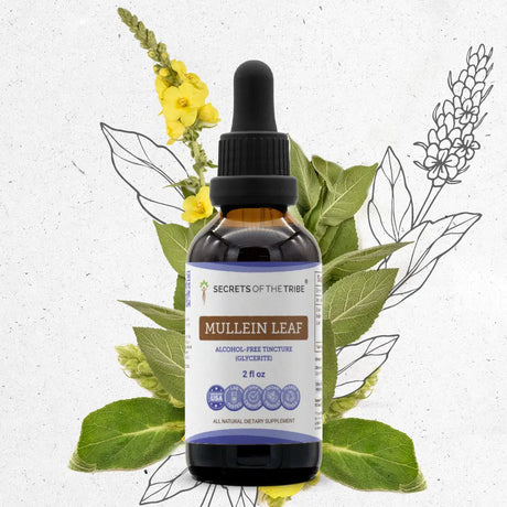 Secrets of the Tribe Mullein Leaf Tincture