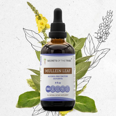 Secrets of the Tribe Mullein Leaf Tincture