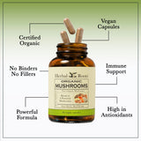 Organic Mushrooms Blend