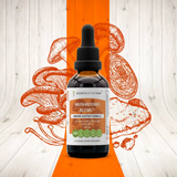 Mushrooms Blend - Immune Support Formula