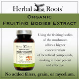 Organic Mushrooms Blend