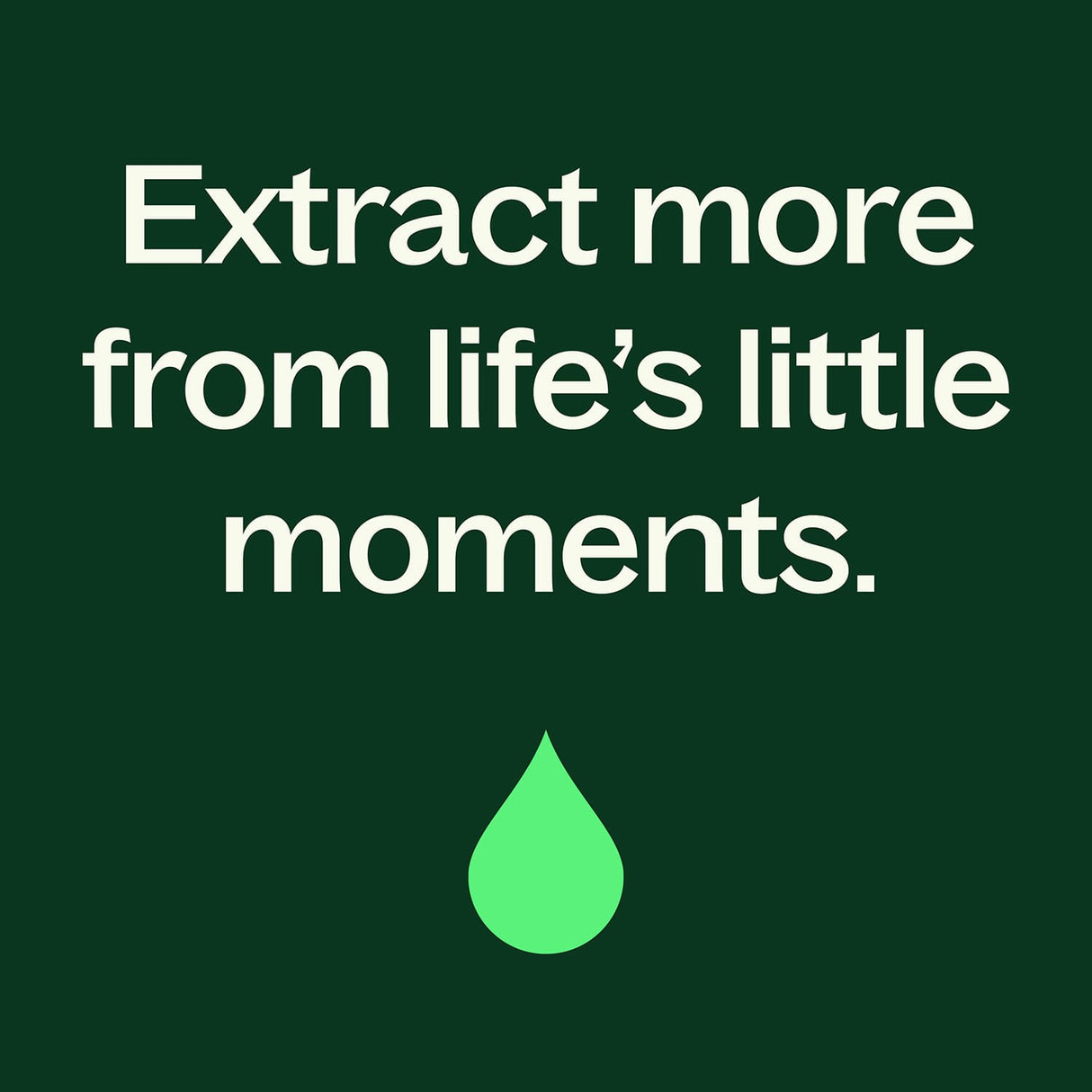 Organic Clove Bud Essential Oil