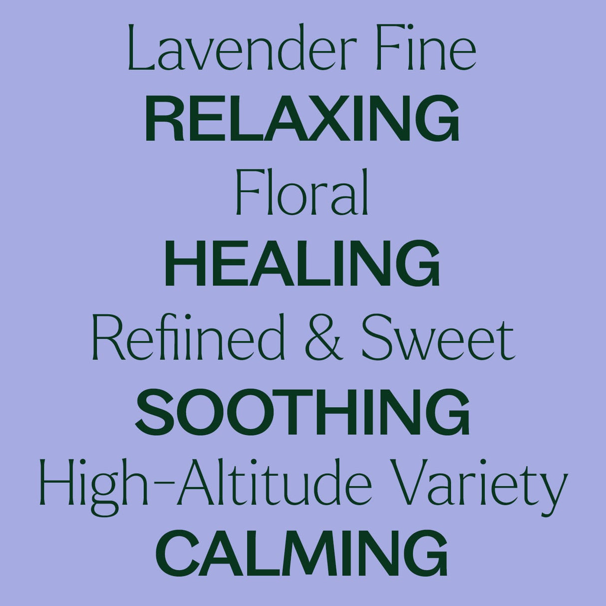 Organic Lavender Fine Essential Oil