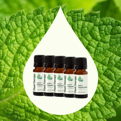 Organic Peppermint 5-Pack