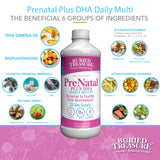 Prenatal Plus DHA – Daily Liquid Multivitamin with DHA, Vegetarian Formula