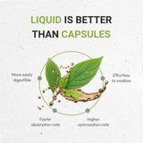 Pumpkin Seed Tincture