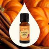 Pumpkin Spice Essential Oil Blend