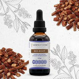 Red Root Tincture