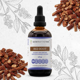 Red Root Tincture