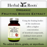 Organic Reishi Mushroom
