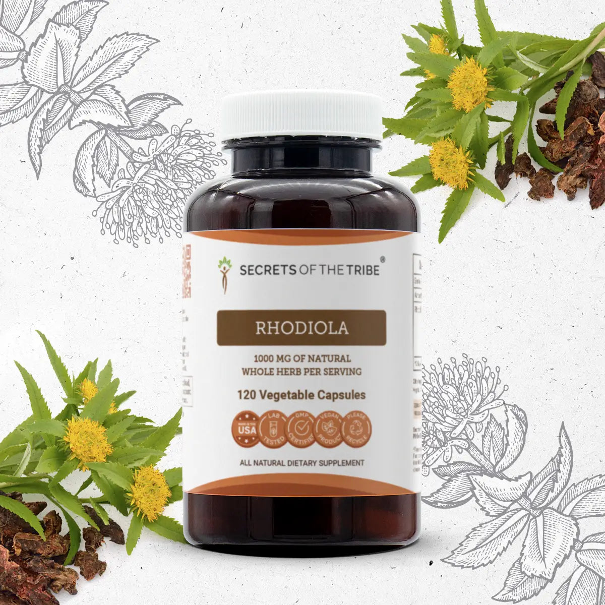 Secrets of the Tribe Rhodiola Capsules