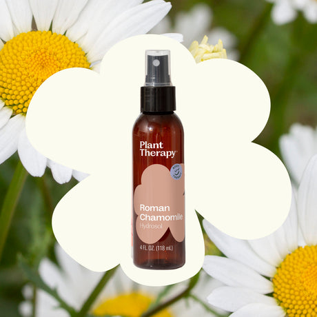 Roman Chamomile Hydrosol