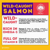 Wild Caught Salmon Dog Treats
