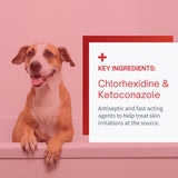 Anti-Fungal & Anti-Bacterial Shampoo for Dogs & Cats - 8oz