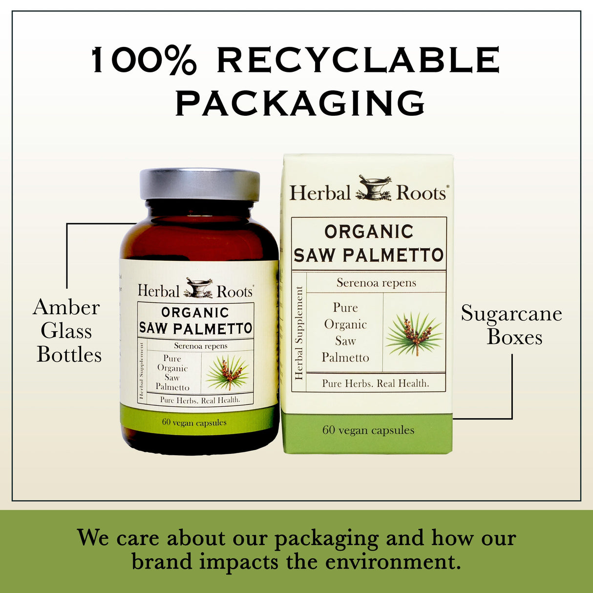 Organic Saw Palmetto