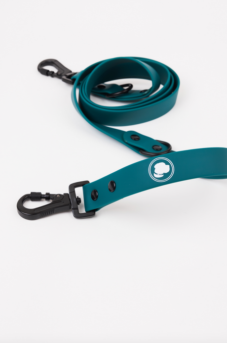 The Modern Dog Company The Modern Dog Company - Forest Green Adjustable Leash
