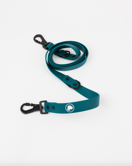 The Modern Dog Company The Modern Dog Company - Forest Green Adjustable Leash