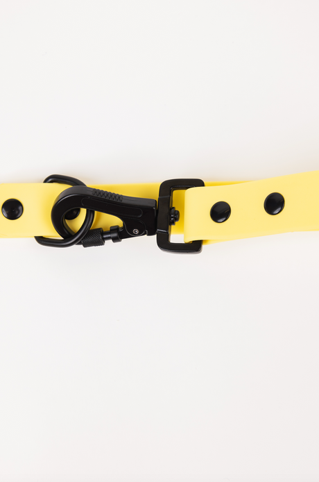 The Modern Dog Company The Modern Dog Company - Daffodil Yellow Adjustable Leash
