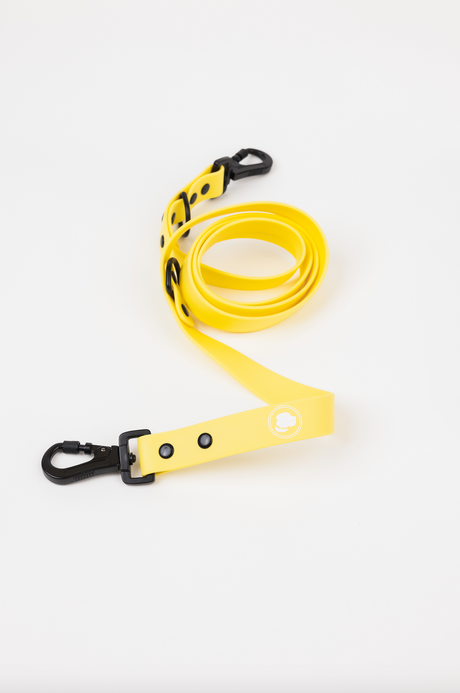 The Modern Dog Company The Modern Dog Company - Daffodil Yellow Adjustable Leash