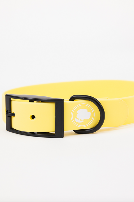 The Modern Dog Company The Modern Dog Company - Daffodil Yellow Collar (Weather + Odor Resistant)