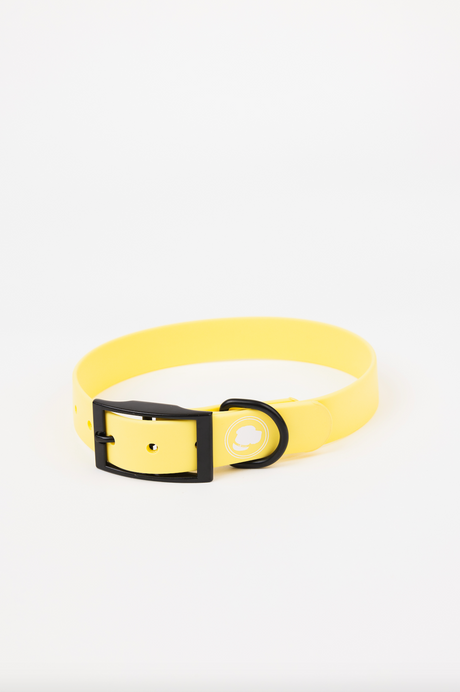 The Modern Dog Company The Modern Dog Company - Daffodil Yellow Collar (Weather + Odor Resistant)