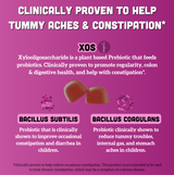 Kids Prebiotic & Probiotic Gummies, Mixed Berry (60 ct)