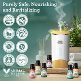 6 Essential Oils Single Notes Set, 10 ML