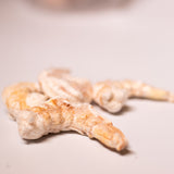 Freeze-Dried Shrimp Treats for Dogs & Cats: Single Ingredient
