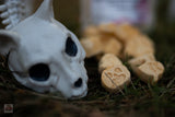 Pup-Ornaut Freeze-Dried Dog Ice Cream: Pumpkin & Apple