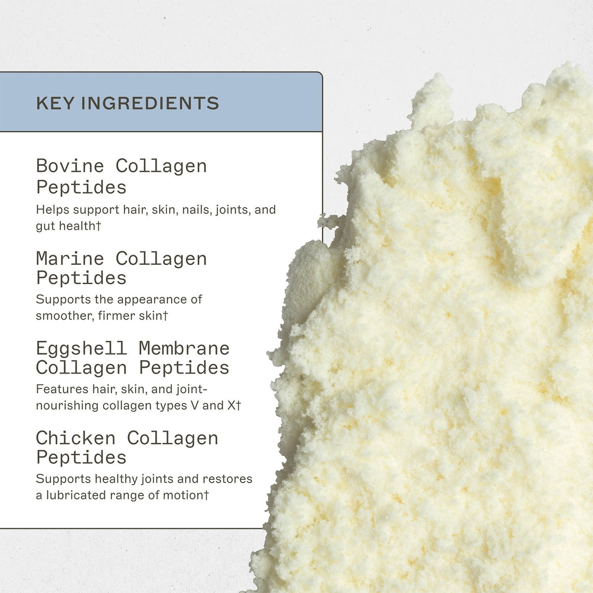Spectrum 5 Collagen®