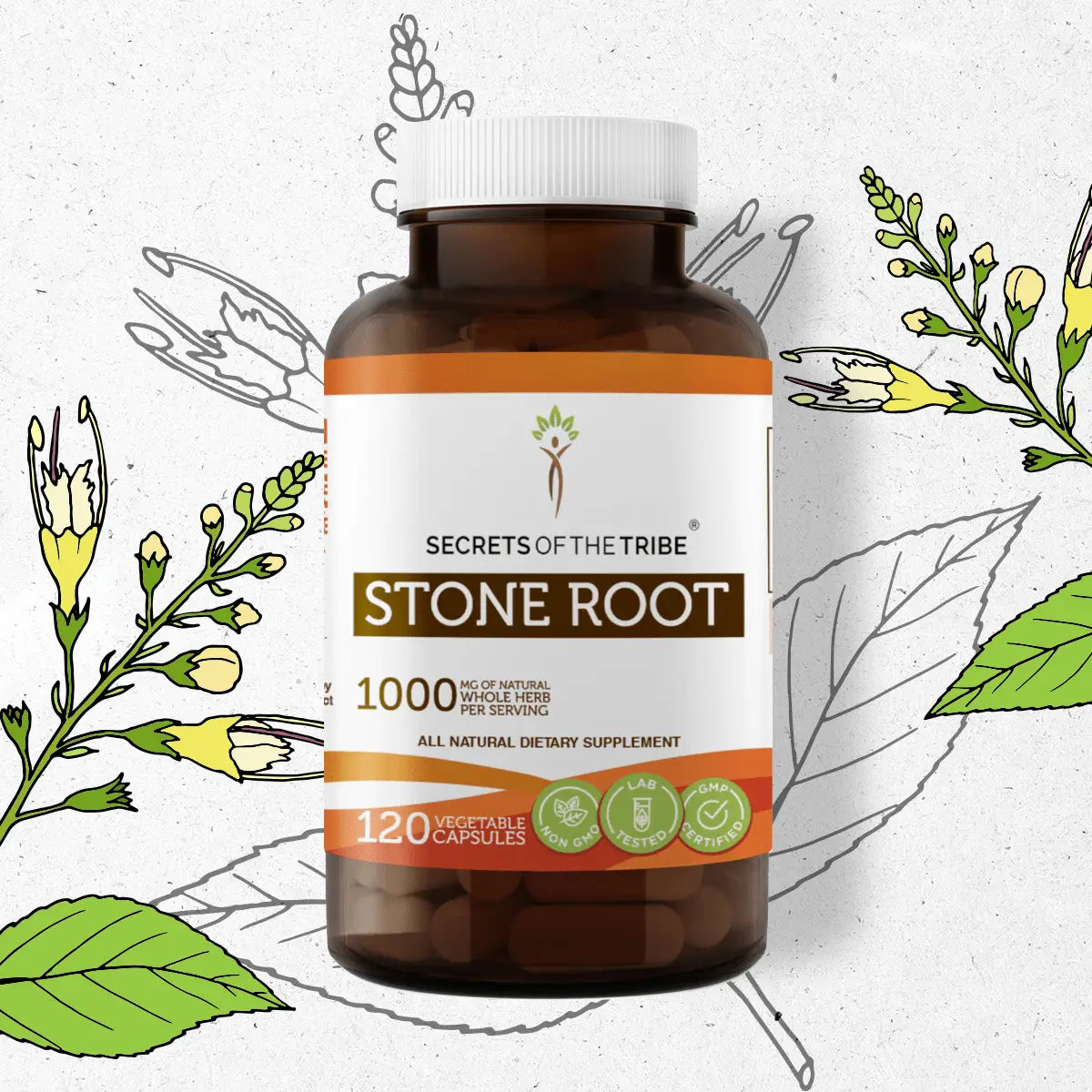 Stone Root Capsules