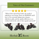 Black Elderberry