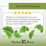 Organic Ginkgo Biloba
