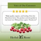 Organic Hawthorn Berry