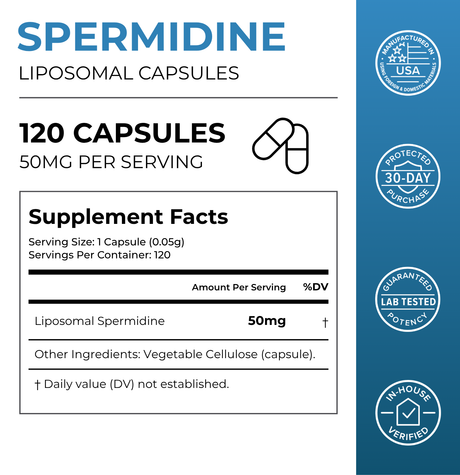 Liposomal Spermidine Capsules