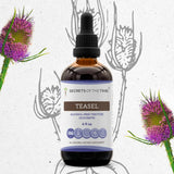 Teasel Tincture
