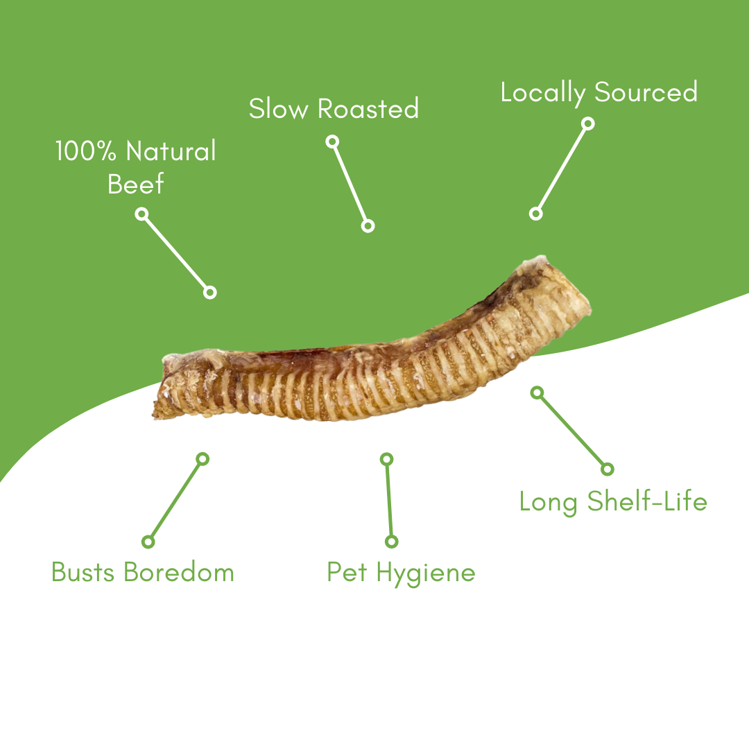 5 Count 5"-6" Beef Trachea Dog Chews