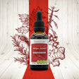 Secrets of the Tribe Tribal Heart - Heart Strength Formula