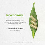 Tribal Shield Capsules - Virus/Infection Support